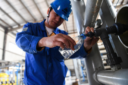 改革举措添动力 头雁效应激活力