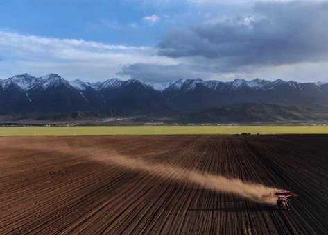 清理历史“包袱” 释放“青绿”优势