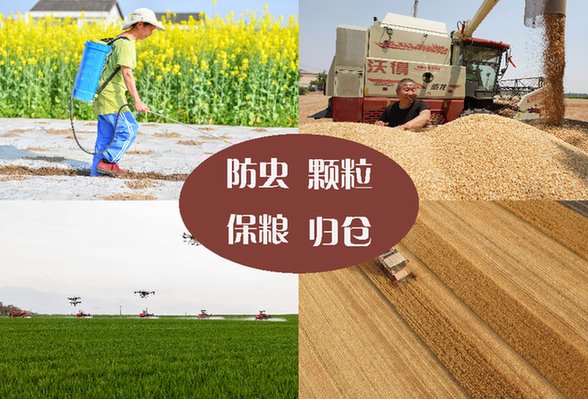 粮食损耗严重 亟待确立&ldquo;减损即增产&rdquo;理念