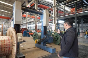 盯紧“灰犀牛” 预防“黑天鹅”