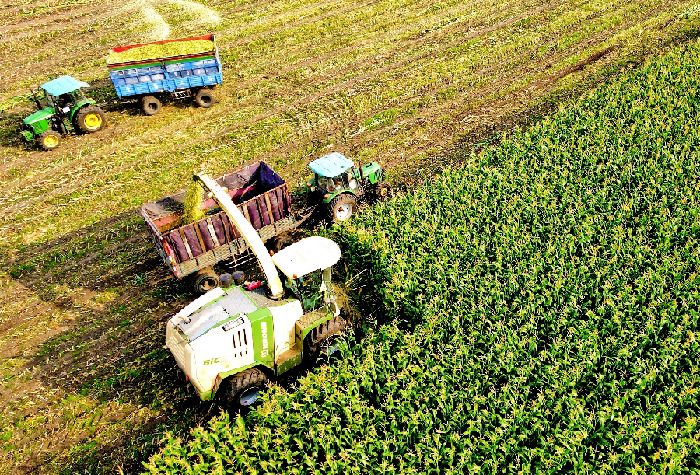 藏粮于技 北大荒力保秋粮丰产丰收