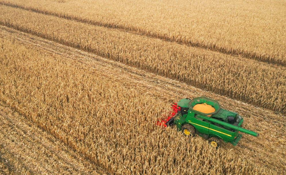 &ldquo;绿科技&rdquo;里的丰收密码