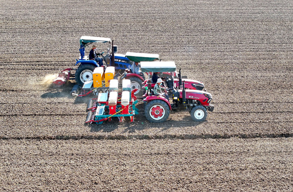 全力以赴保障粮食丰收&mdash;&mdash;各地加快推进秋季农业生产扫描