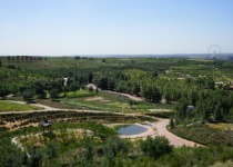 地下是煤海　地上变绿海&mdash;&mdash;黄河中游煤矿区发展见闻