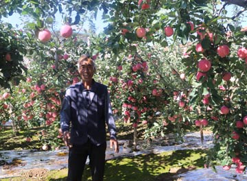 &ldquo;好的不多多的不好&rdquo;困扰苹果产业