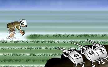 由明转暗 假劣种子打起“游击战”