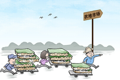 浏阳农地改革:“命根子”变成“钱袋子”