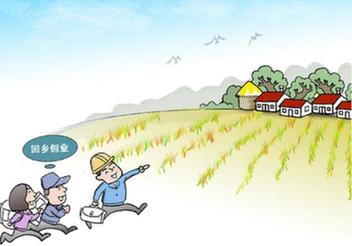 在外打工不如返乡就业 农民工回流力促中西部发展