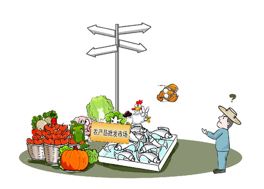 规划建管旧病难除 追溯配送再添新忧