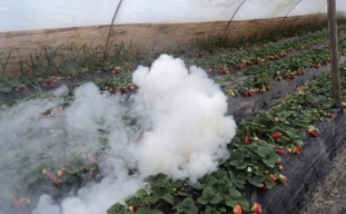 沿用近50年的传统引火线咋就突然成了爆炸物?